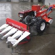 高粱秸秆割倒机 茴香荆芥割晒机 手推式艾草苜蓿收割机