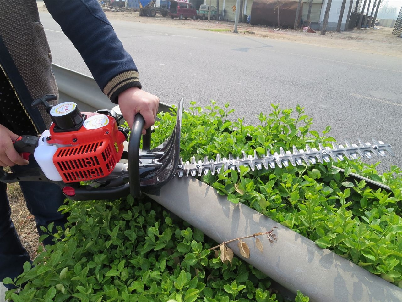 鲜花绿植修剪机绿篱机质保一年汽油剪枝篱